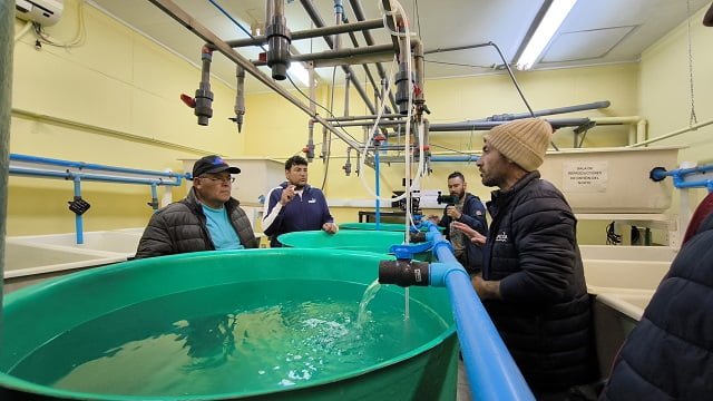 Acuicultores De Peque A Escala Se Interiorizan En Nuevas Tecnolog As