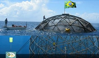 Jaula para el cultivo de peces marinos Jaula para el cultivo de peces marinos