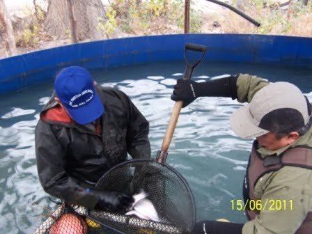 Acuicultura en Argentina, el desconocimiento y la inacción disfrazados de cautela Piscicultura-Educativa-Dique-Ameghino
