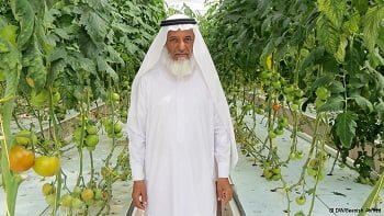 Acuaponia lleva la sustentabilidad al desierto acuaponia-abu-dhabi