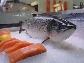 Mercado del salmón – septiembre 2013 salmon_3