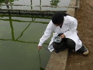 Crecimiento de la acuicultura en el Perú dependerá del impulso del Gobierno Central cinpis-unalm