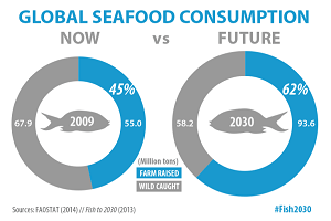 El 62% de los seafood consumidos en el año 2030 provendrán de la acuicultura global-seafood-consume