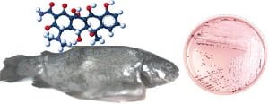 Fuente: Journal of Hazardous Materials