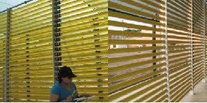 La empresa PSW desarrolla protocolo biotecnológico para la obtención de aceite de microalgas rico en DHA fotobiorreactores-algas-pws