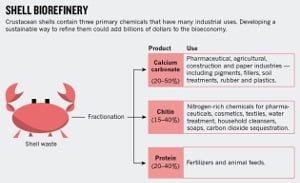 Tendencias en el aprovechamiento de las conchas de camarones y cangrejos shellrefinery
