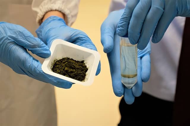 Using microalgae to produce an alternative to palm oil 1 Powdered microalgae Chromochloris