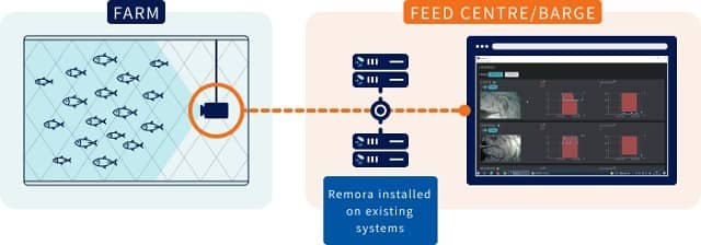 remora setup