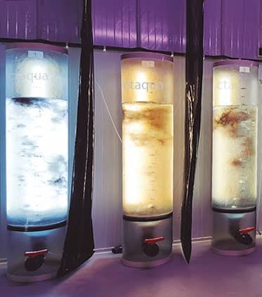 Avances en la capacidad inmunoestimulante de las macroalgas en peces de acuicultura 1 Biorreactores de cultivo de macroalgas