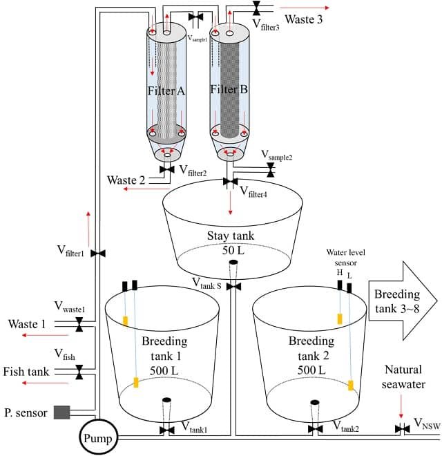 Sistema automatizado de filtración tubular para la producción de rotíferos 1 Diseño de un sistema de filtración tubular para los rotíferos. Fuente: Kuo et al (2022).
