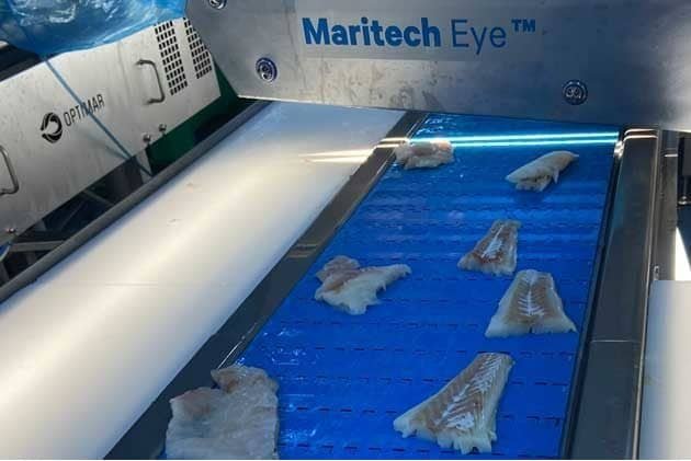 Roundworm in fish can be detected using new technology 1 Roundworm fish detected new technology Nofima