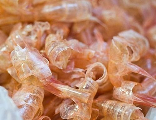 Mejoran pasta de cemento con nanopartículas de caparazón del camarón 1 Caparazones de camarones para mejorar la pasta de cemento.