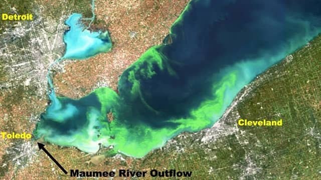 Aprendizaje automático con datos de patrones climáticos ayuda a predecir floración de alga nocivas 1 Esta imagen de satélite muestra una proliferación de algas nocivas sobre el lago Erie en octubre de 2011.