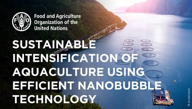 Nanoburbujas para la producción acuícola sostenible