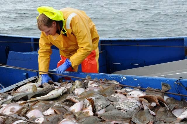 Aquaculture is not the solution to overfishing 1 A transformation of the fishing industry to an ecologically sound fishery could make a sustainable contribution to food security. Photo: Maike Nicolai/GEOMAR