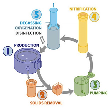 Basic process flow and water treatment steps for a recirculating aquaculture system. (Image courtesy of John Davidson, The Conservation Fund Freshwater Institute)