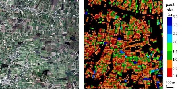A satellite image over a 6 × 7 km region in central Thailand and the corresponding automatically extracted aquaculture ponds each colored by their area. Image courtesy of Lin Yan.