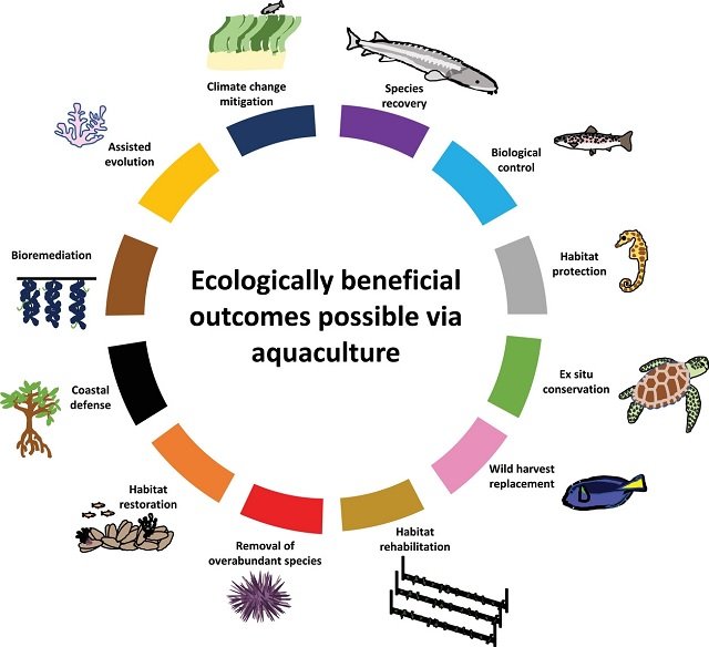 The 12 ecologically beneficial outcomes that can be achieved through aquaculture. A particular aquaculture activity may deliver several of these outcomes at once. Source: Overton et al., (2023).
