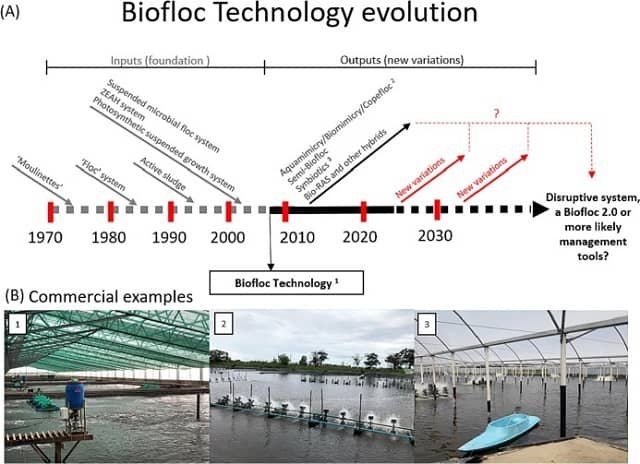 (A) Evolución de la tecnología biofloc; (B) ejemplos de granjas comerciales que operan con diferentes enfoques basados en los microbios en condiciones de cultivos intensivos: Tecnología biofloc, Vietnam (1), Aquamimicry, Tailandia (2), y Simbióticos, Brasil (3). Fuente: Mohammad et al., (2023).