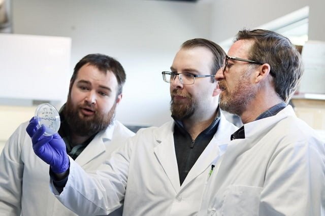 VIU researcher developing better tools to detect and manage bacterial infections in salmon 1 From left, Joseph Nowlan, Scott Britney and Dr. Spencer Russell examine samples in the lab. Vancouver Island University photo