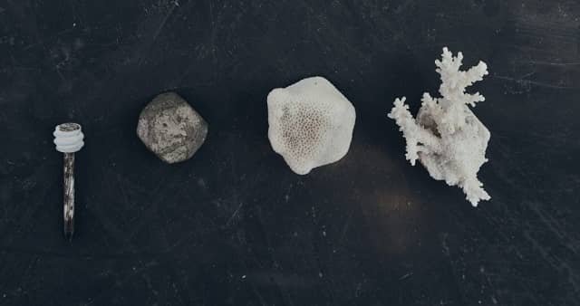 Tools for coral gardening at the landscape scale 1 The different components needed for building the Maritechture structure, including acrylonitrile butadiene styrene, a nontoxic and recyclable plastic that does not degrade in water. © 2023 KAUST; Eliza Mkhitaryan.