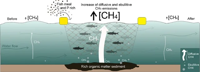 Source: Gomes et al., (2021)