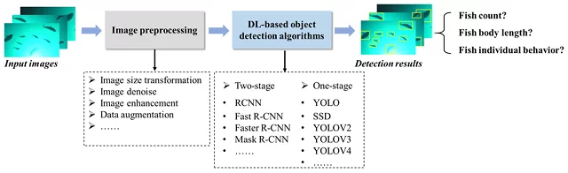 flujo-procesamiento-imagenes