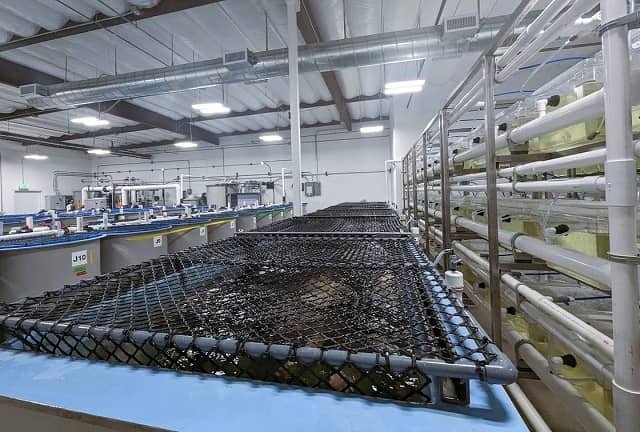 CAT Invests in The Future of Genetics and Genome Editing 1 CAT Finfish Genetics Innovation Center