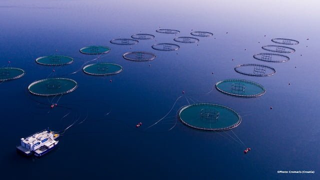 El proyecto europeo NewTechAqua lanza su programa formativo sobre acuicultura sostenible 1 CIHEAMZaragoza NewTechAqua ProgramaFormacion2023
