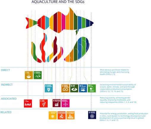 What is the contribution of aquaculture to the Sustainable Development Goals? 1 Simplified overview of aquaculture's main contributions to the Sustainable Development Goals. Source: Troll et al., (2023)