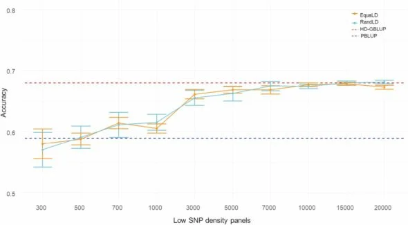 Figura 1. Precisión de la predicción genómica para resistencia a F. columnare en trucha arcoíris, obtenida con diferentes paneles de SNP de baja densidad (sin imputación). Fuente: Fraslin et al., (2023)