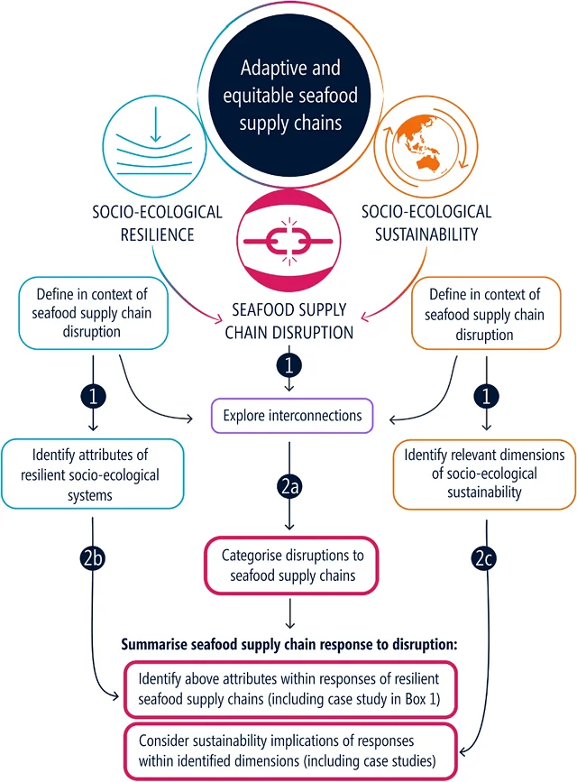 Schematic to show layout of this review where numbers correspond to the aims of the study. Arrows indicate direct links of conceptual elements to the new contributions of this paper to the literature. Source: Subramaniam et al., (2023)