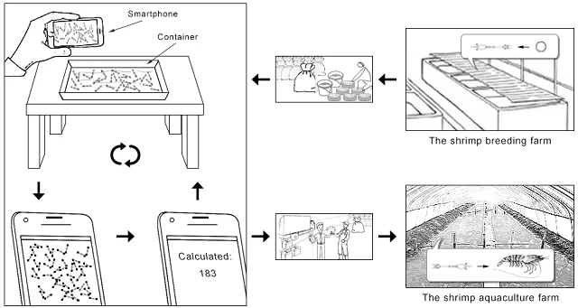 Automatic counting system for Penaeus larvae. Our method can help shrimp farmers quickly estimate the number of shrimp larvae, reduce shrimp larval transportation time, and improve the shrimp larval survival rate. Source: Li et al., (2023)