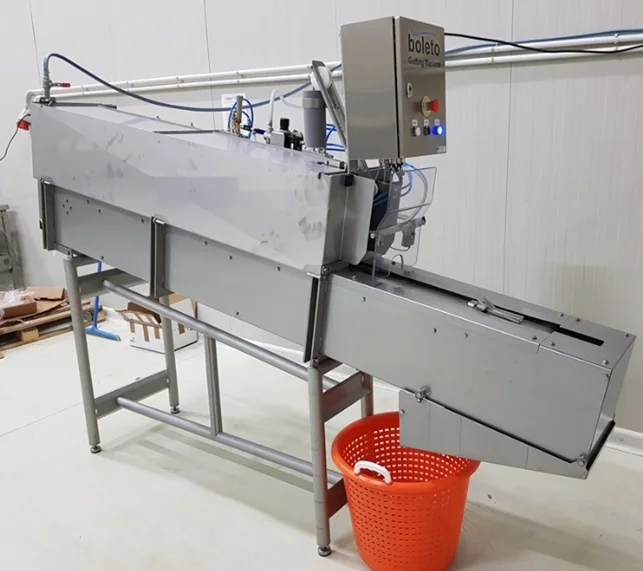 BOLETO: Líder Innovador en Tecnología de Eviscerado de Pescado Participará en la Expo Pesca y AcuiPeru 2023 1 Máquina evisceradora de pescado. Fuente: Boleto