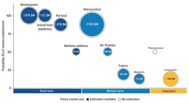 Predicción del mercado para el 2030 considerando las diferentes industrias. Fuente: World Bank (2023).