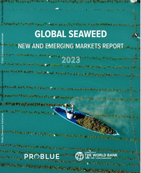 Nuevos mercados emergentes para las algas marinas