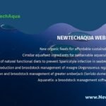 Soluciones para una nueva acuicultura: NewTechAqua aborda los retos del sector en un ciclo de webinarios especializados