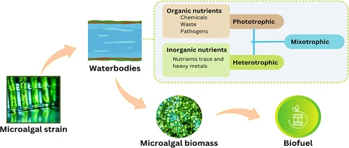 Biocombustibles de microalgas