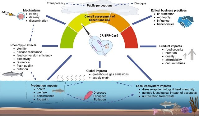 How to Evaluate the Use of Genetic Editing in Aquaculture