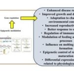 Epigenetics for Disease Prevention in Shrimp Aquaculture Epigenectics for disease prevention in shrimp farming. Source: Wikumpriya et al., (2023)