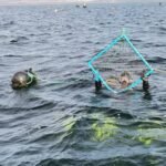 Alianza entre Empresa Inchalam y Centro AquaPacífico podría generar un polo de innovación acuícola en la zona norte