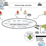 Microalgas pueden ser empleadas para la fitorremediación de efluentes pesqueros Fuente: Rifna et al. (2024), International Journal of Biological Macromolecules.