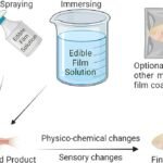 Edible Films and Coatings for Extending the Shelf Life of Fish and Seafood Products Application methods of edible films on aquaculture products. Source: Gürdal y Çetinkaya (2023), Rev. Aquac.