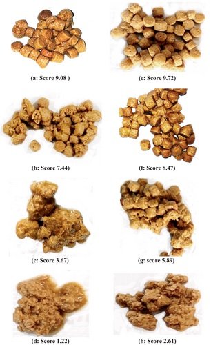 Corn Can Replace Wheat Flour in Extruded Feeds Without Affecting Trout Growth 1 Apparent shape and mean score of extruded feed pellets taken from the stomach of rainbow trout (Oncorhynchus mykiss) after 48 h of starvation used for apparent degradability (ADE) index. Source: Alkoei et al., (2023), Journal of the World Aquaculture Society.