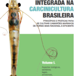 Producción integrada en la industria camaronera brasileña.