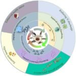 Una ilustración de los beneficios de la proteasa exógena en las dietas para peces. N = nitrógeno. Fuente: Chen et al., (2023), Animal Nutrition.