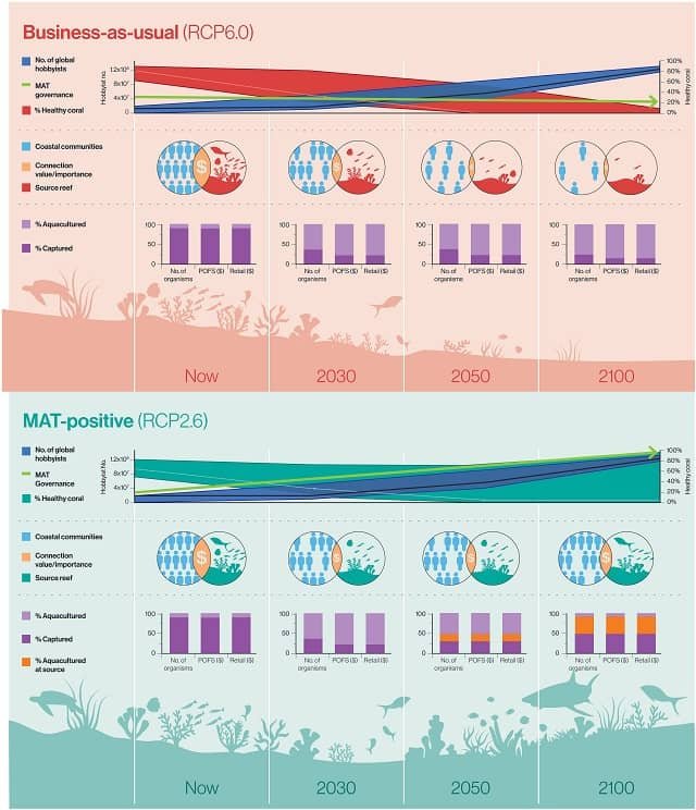 Futuros alternativos para el Comercio de Acuarios Marinos (MAT) global. Fuente: Gordon et al., (2023), Sci. Adv.