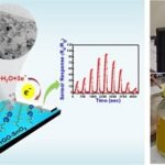 Imagen que muestra un esquema de detección de formalina en peces adulterados (izquierda) y medición de formalina presente en una muestra de pescado intencionalmente adulterada mediante un sensor de óxido metálico-rGO.