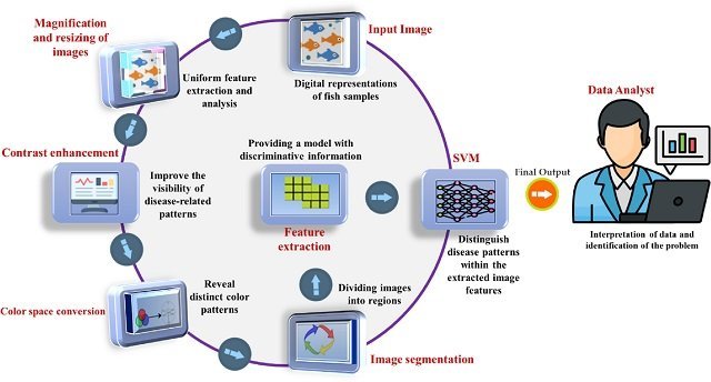 Proposed framework for image-based machine learning for fish disease detection modified from Chakravorty et al. (2015). SVM, support vector machine. Source: Islam et al., (2024); Journal of the World Aquaculture Society.