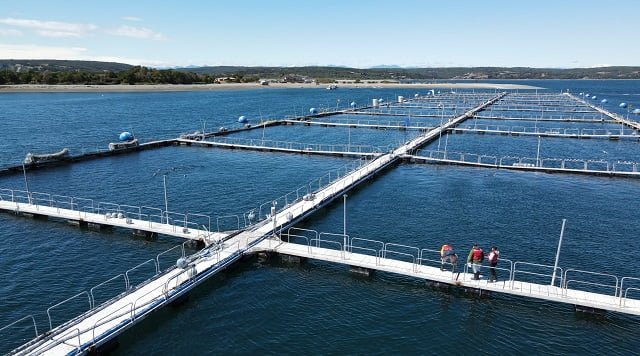 ALSURCheck: Una innovación para asegurar la trazabilidad y mantenimiento de la infraestructura marítima 2 Centro de cultivo estándar salmonero.
